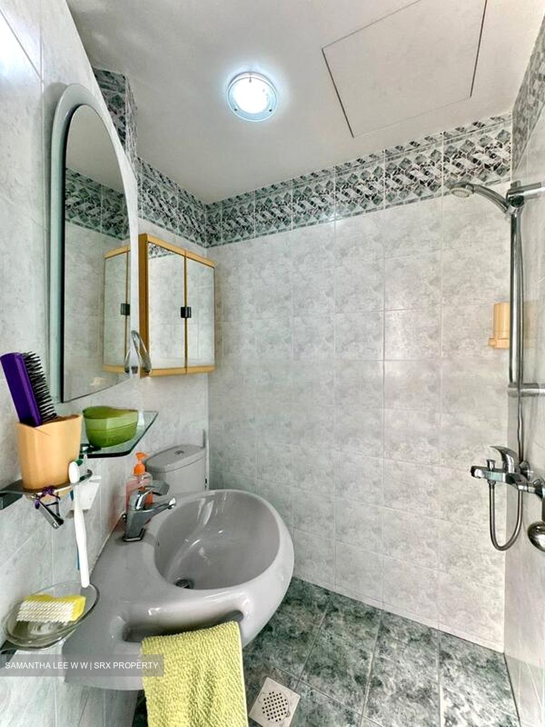 Clementi Park (D21), Condominium #480012021